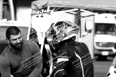 media/Feb-23-2024-2WTD (Fri) [[a719da276a]]/1-Around the Pits/